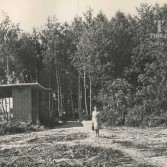 Парк в 1960-е годы