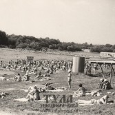Парк в 1980-е годы