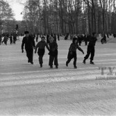 Парк в 1950-е годы