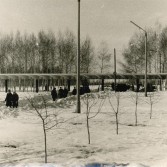 Парк в 1960-е годы