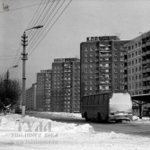 Фото Владимира Белтова