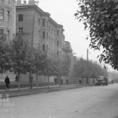 1950-1956 годы