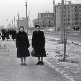 1959 год