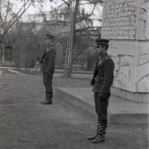 Городские скверы