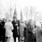 7 ноября 1965. Демонстрация на Косой горе