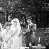 Свадьба. Поселок Косая Гора. 3 мая 1983 года