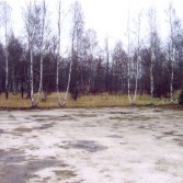 2005 год