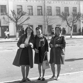 Фото туляков 1960-е