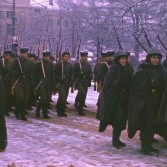 Шествие 5 декабря 1981 года