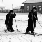 Фото туляков 1950-е