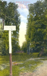 Ясная поляна. Дорога к могиле Л.Н. Толстого