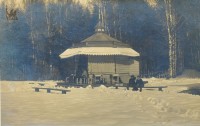 Петровский парк после снегопада 11 мая 1917 года.