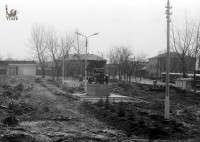 1981. Фото Игоря Щербакова.