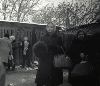 1981. Старая барахолка в Мясново