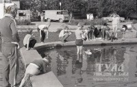 Лето 1986 года Дети запускают модели кораблей в фонтане на площади Искусств, на заднем плане - художественный музей