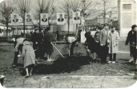 1960-е. Субботник в Пионерском сквере. Из коллекции Александра Наумова.