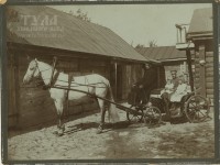 Фото с клеймом А.Н. Некрасова в экстерьере