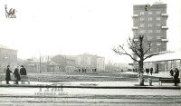 1972 год. Красноармейская от Советской. Фото из коллекции А. И. Наумова