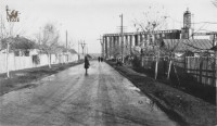 1950-е. Мелькомбинат. Дачный переулок. Фото Михаила Чепикова.