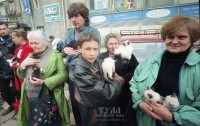 1997 год. Зоорынок на улице Каминского