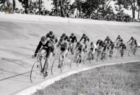 1951 Участники групповой велогонки на 100 кругов на дистанции. 1951 год. Фото РИА Новости 