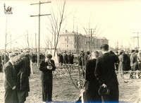 1950-е. На месте типографии у площади Победы. Из коллекции Александра Наумова