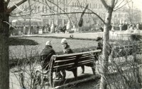 Сквер Пионеров напротив Детского универмага. 1960-е.