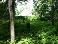 Лютеранский участок на Всехсвятском кладбище.