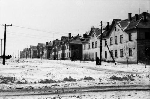Рогожинский поселок 1955 г